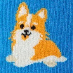 Calcetin Perrito Kylie Crazy Azules para Hombre modelo C710