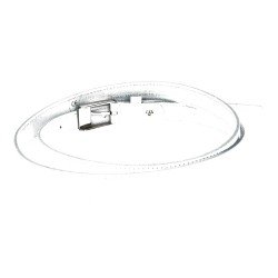 Cinturón de Piel Attanze Blancos para Mujer modelo X67